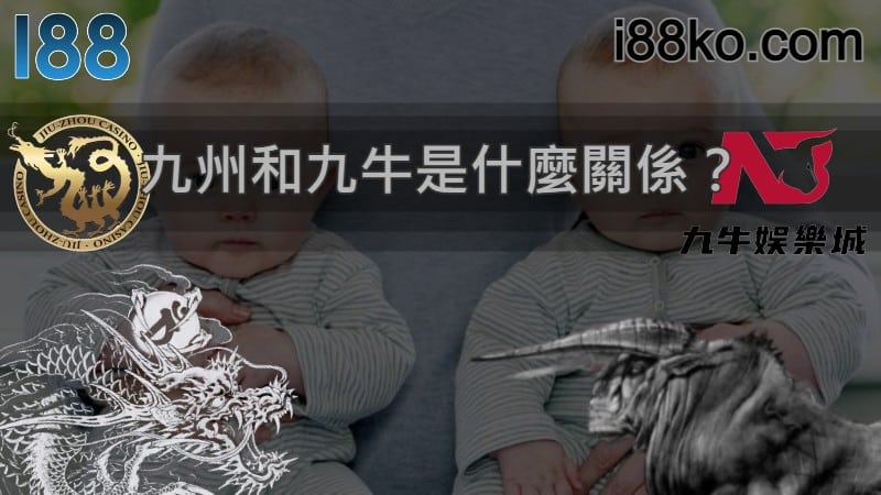 現金版|九牛娛樂城和九州LEO竟傳出是同一間公司？